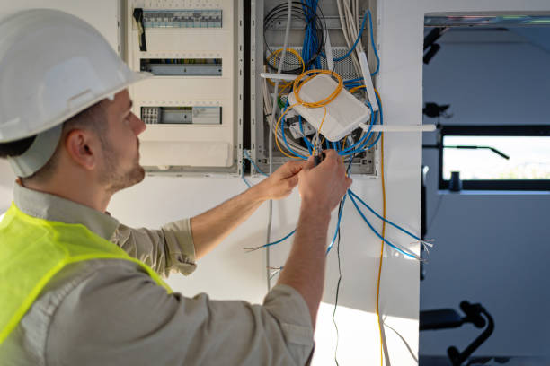 Best Electric Panel Repair  in Vinton, IA